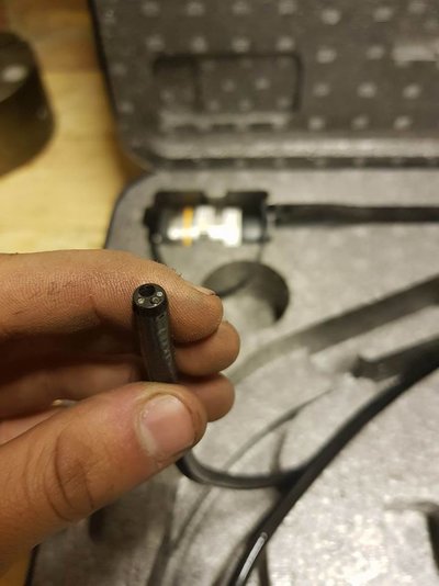 Ringpiece rummager.jpg