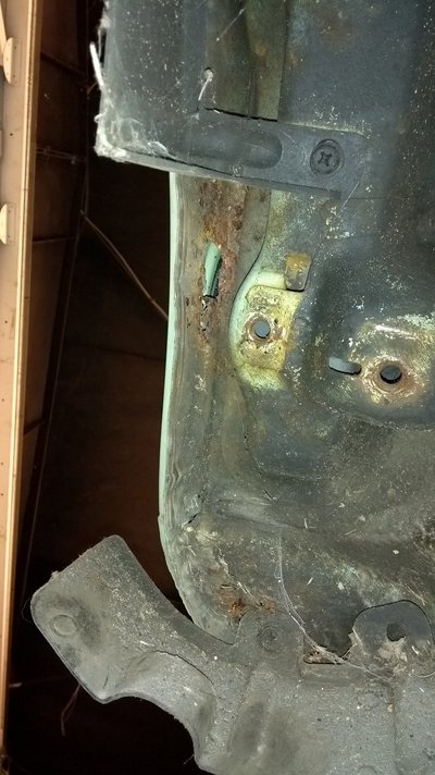 IMG_20170809_202434222.jpg