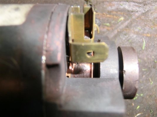 CIMG4579 (Medium).JPG