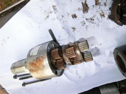 CIMG4583 (Medium).JPG