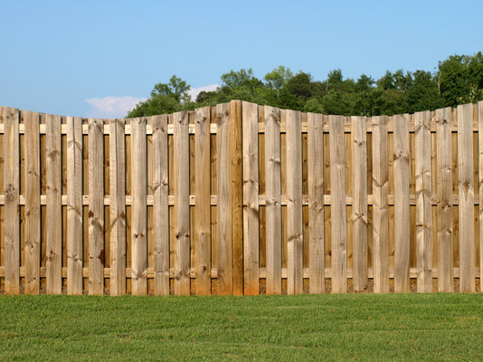 Fence.jpg