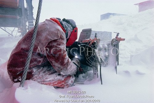 ArcticPhoto_MR_0012-00.jpg