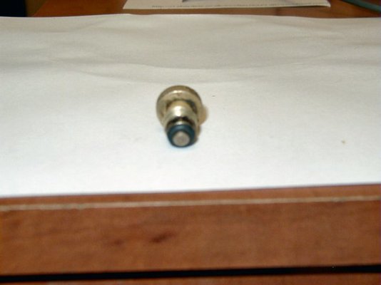 P1010003.jpg