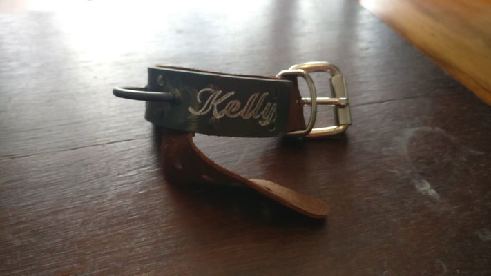 kelly.jpg