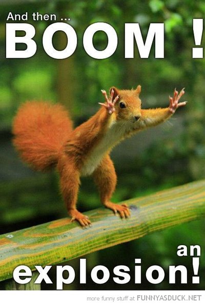 funny-squirrel-hands-up-boom-explosion-pics.jpg