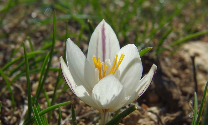 IMGP2927.jpg