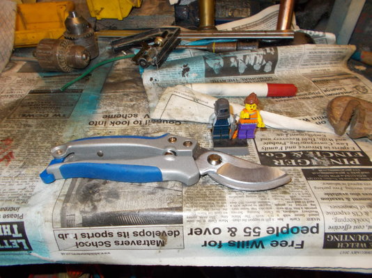 DSCN1003.JPG