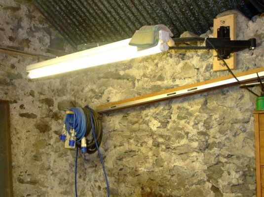 Tele Light.jpg