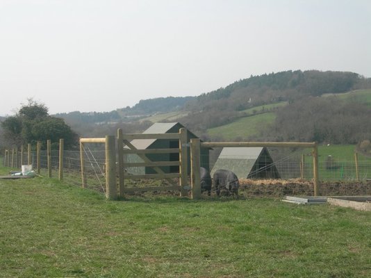 DSCN8530.jpg