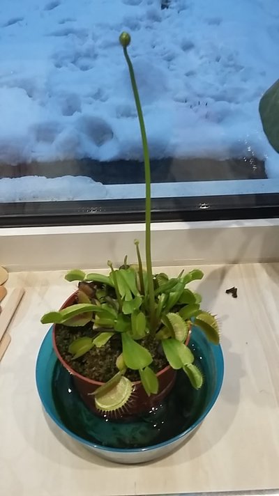 20180304_070311.jpg