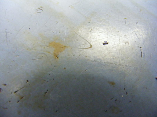 DSCF0004.JPG