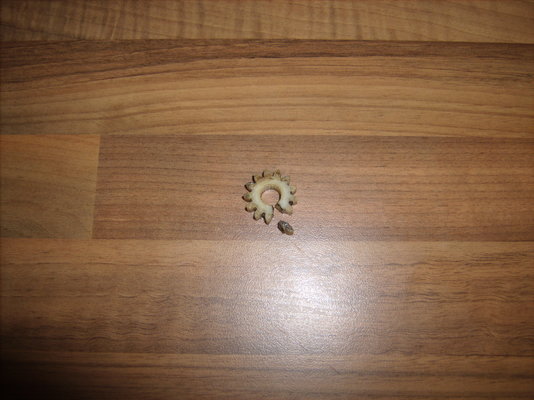 GEDC3044.JPG