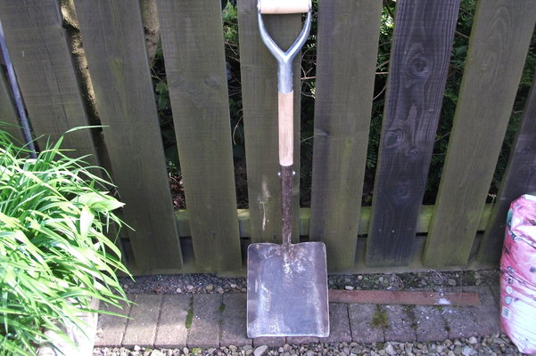 DSCF1294.JPG