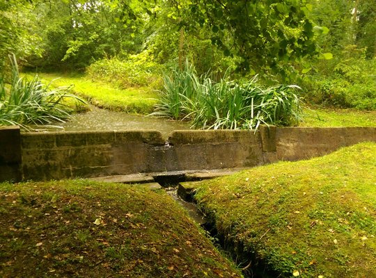 IMAG3283.jpg IMAG3283.jpg