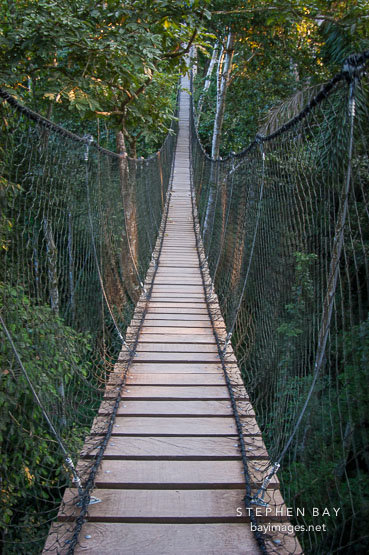 wooden-canopy-suspension-bridge-amazon-peru-8902.jpg