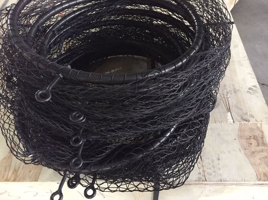 mesh.jpg