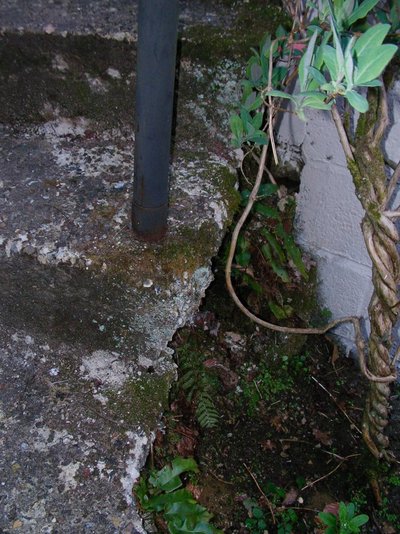 Phone pics 3 039.jpg