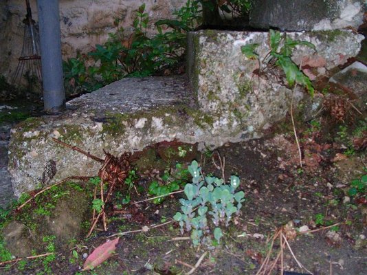 Phone pics 3 042.jpg