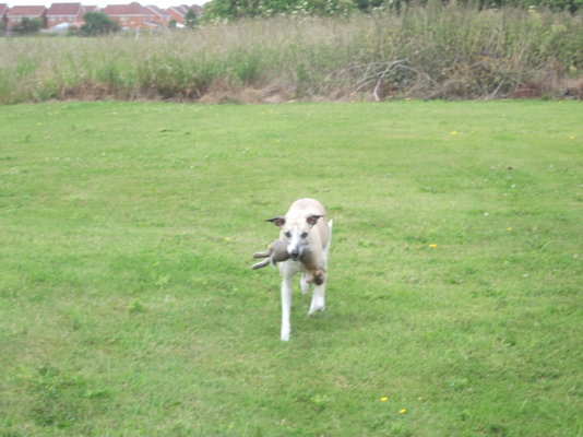 DSCF1091.JPG
