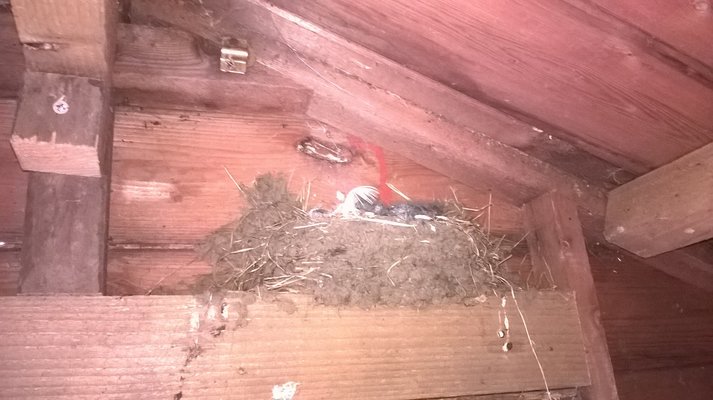 WP_20180626_15_28_34_Pro.jpg