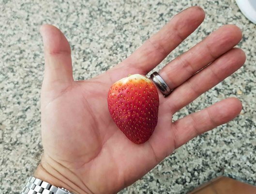 Strawberry 2.jpg