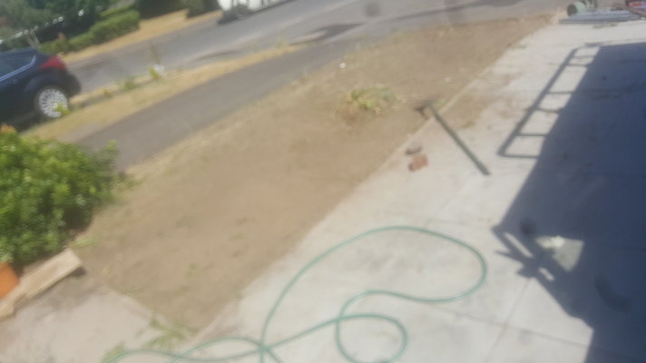 20180715_151256.jpg