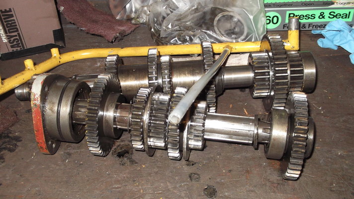 DSCF9771.JPG
