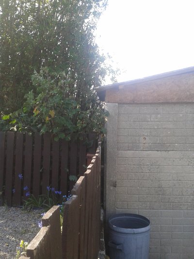 20160508_165539.jpg 20160508_165539.jpg