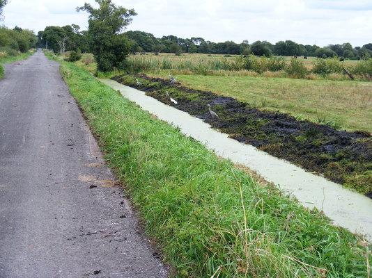 DSCF0001-001.JPG