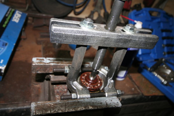 IMG_3629.JPG IMG_3629.JPG