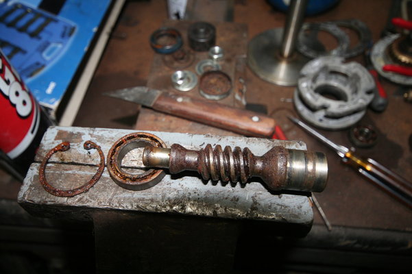 IMG_3646.JPG IMG_3646.JPG