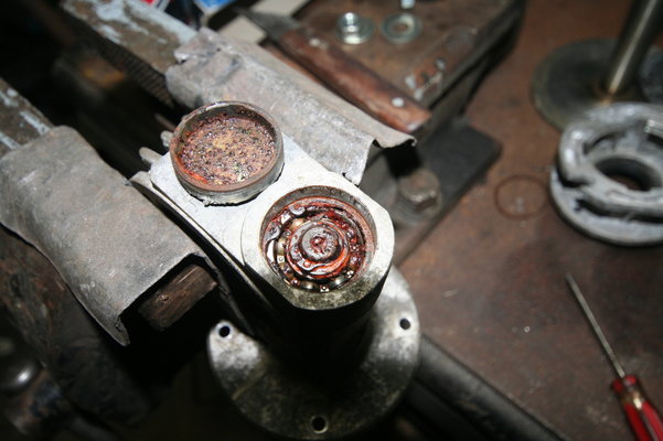 IMG_3644.JPG IMG_3644.JPG