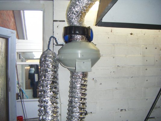 DSCF5948.jpg