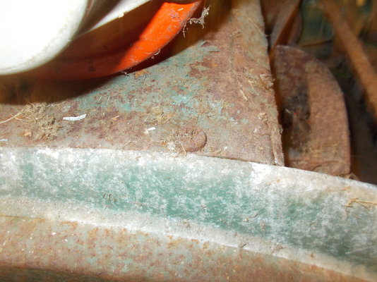 DSCN2381.JPG