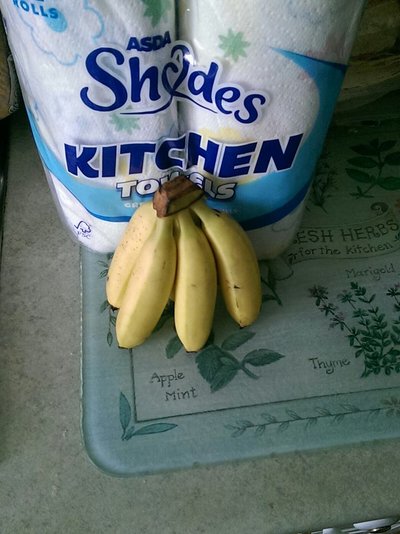 tiny bananas.jpg