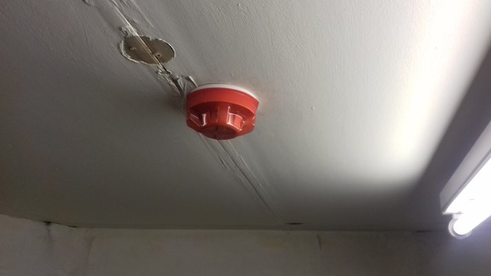 20171130_112735.jpg