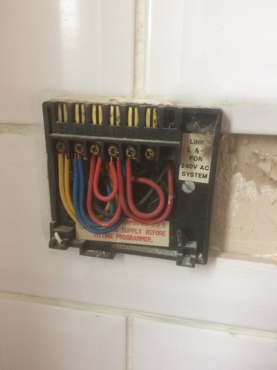 image.jpeg