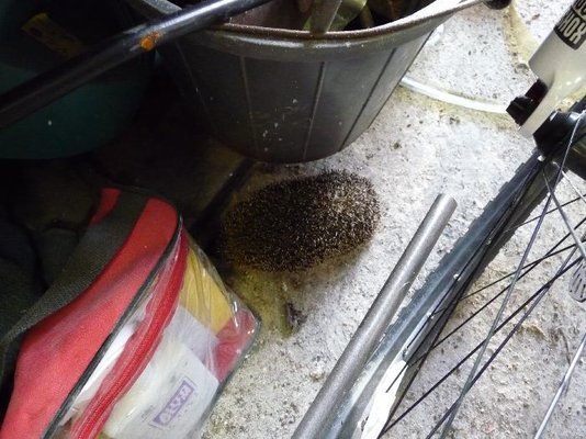 jack11.jpg jack11.jpg