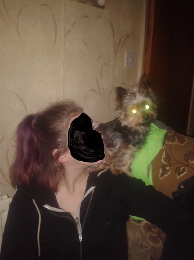 20181225_163642c.jpg