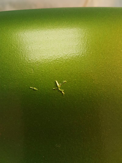 20190126_131331.jpg