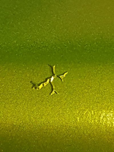 20190126_131345.jpg