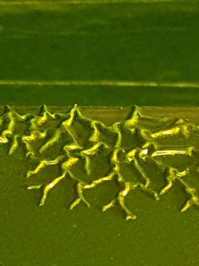 20190126_131355.jpg