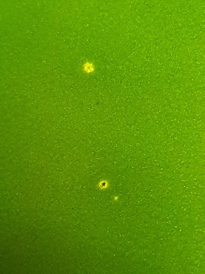 20190126_181033.jpg