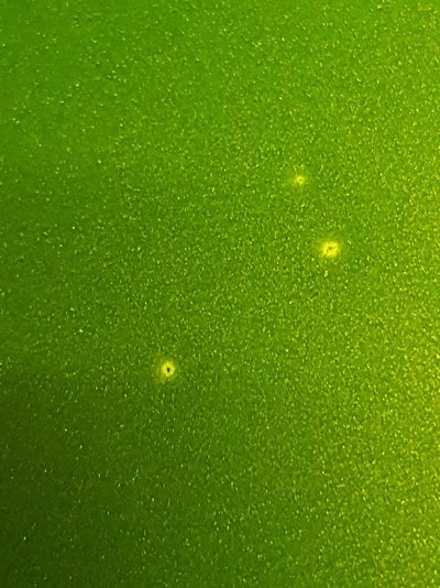 20190126_181043.jpg