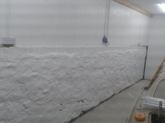 20181115_082525.jpg