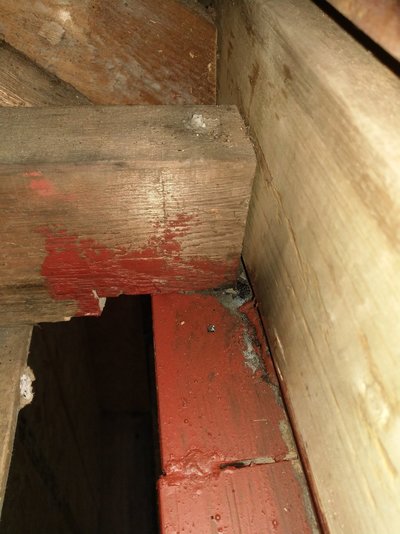 IMAG0794.jpg