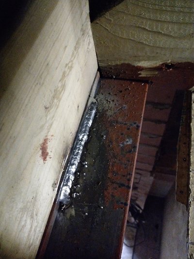 IMAG0804.jpg