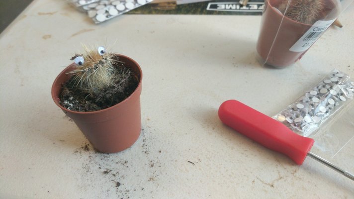 IMG-20190411-WA0007.jpeg