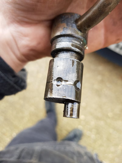 20190414_174258.jpg
