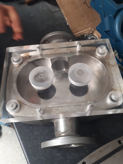 20190417_120700.jpg